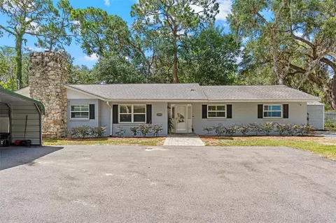 19094 SE 162nd St, Weirsdale, FL 32195