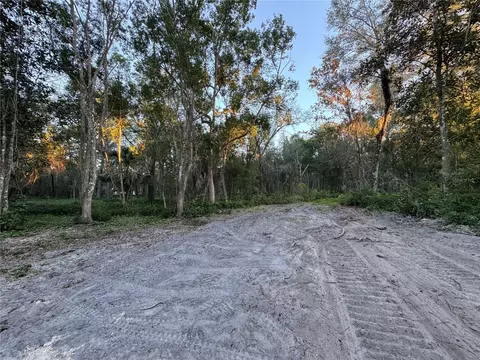 W Ohio Avenue, Lake Helen, FL 32744