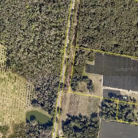 Pid #44 16 29 01 00 1141, De Leon Springs, FL 32130