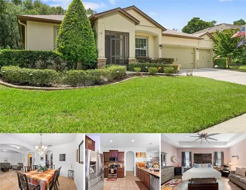 541 Morgan Wood Dr, Deland, FL 32724