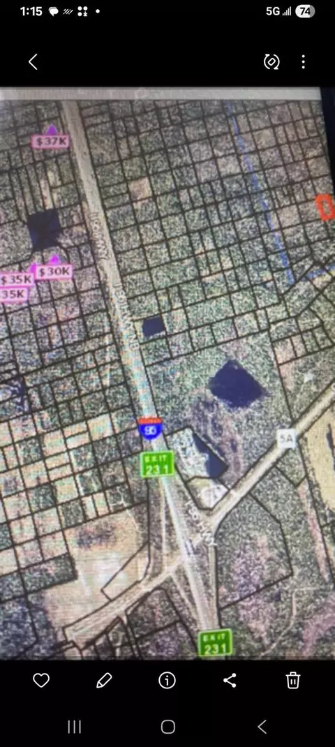 Short Parcel 2003055, Mims, FL 32754 photo 4