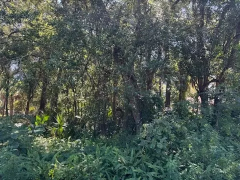 0 E French Ave, Orange City, FL 32763