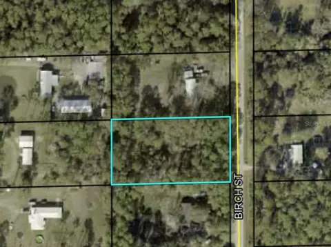 1082 Birch St, Bunnell, FL 32110