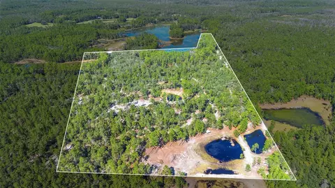 Deep Woods Road, Paisley, FL 32767