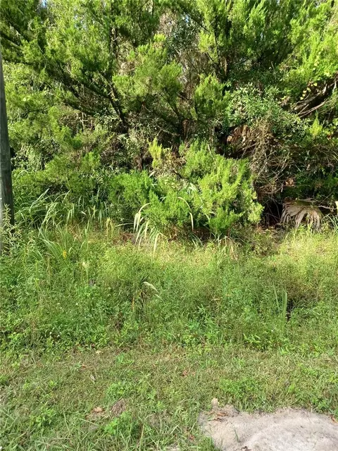 Winona Drive, Geneva, FL 32732