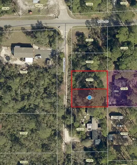 Maryland Street, Paisley, FL 32767