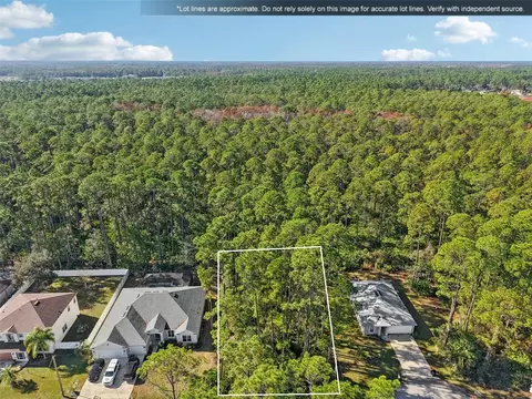 7 Riddle Pl, Palm Coast, FL 32164