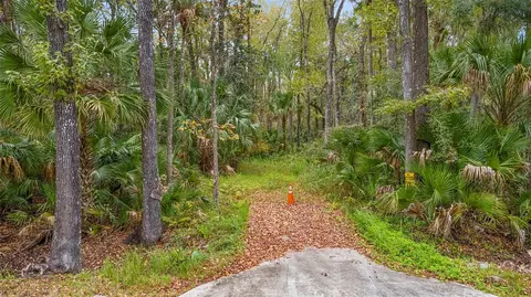 1100 Maytown Rd, Oak Hill, FL 32759