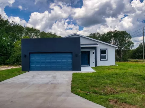 2 Guava Ln, Ocklawaha, FL 32179