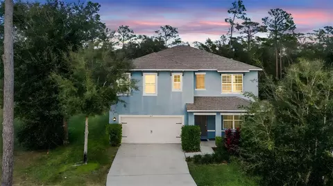 219 Meghan Cir, Deland, FL 32724