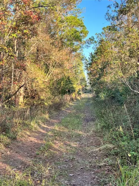 University Highlands/ Deland Crossings, Deland, FL 32724