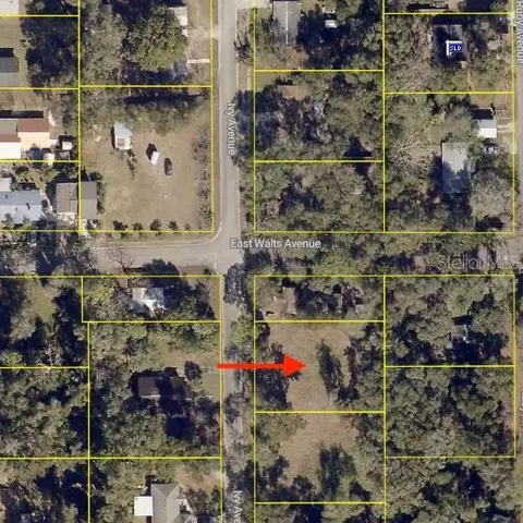 407 Ivy Ave, Deland, FL 32724