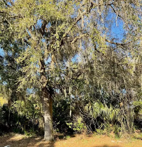 Osteen Maytown Road, Osteen, FL 32764