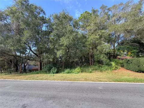1482 Covered Bridge Dr, Deland, FL 32724