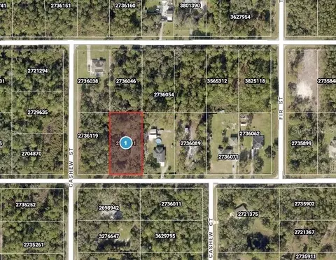 Saffron Avenue, Eustis, FL 32736