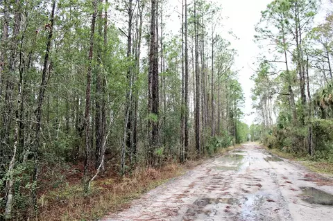 849 Ashby Way, Osteen, FL 32764