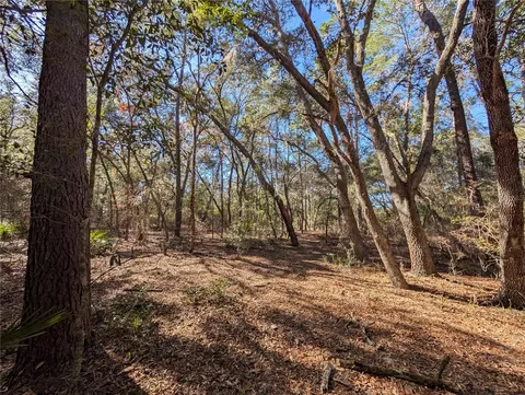 Lake Margaret Blvd, Pomona Park, FL 32181