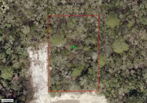 Riegel Avenue, Orange City, FL 32763