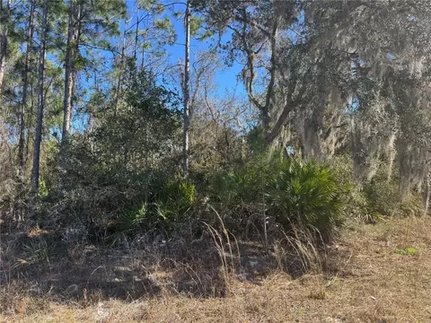 Grace Avenue, Deland, FL 32720
