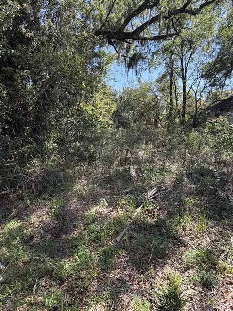 110 E Mercers Fernery Rd, Deland, FL 32724