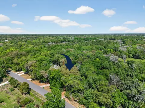 View/Area - 3380 Lionel Rd, Mims, FL 32754 photo 2 of 5