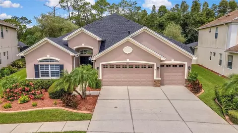 3247 Diamond Falls Cir, Land O Lakes, FL 34638