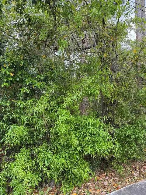 253 E Highbanks Rd, Debary, FL 32713