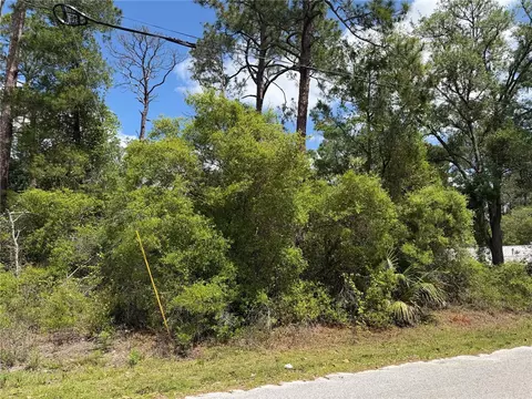 Maryland Street, Paisley, FL 32767