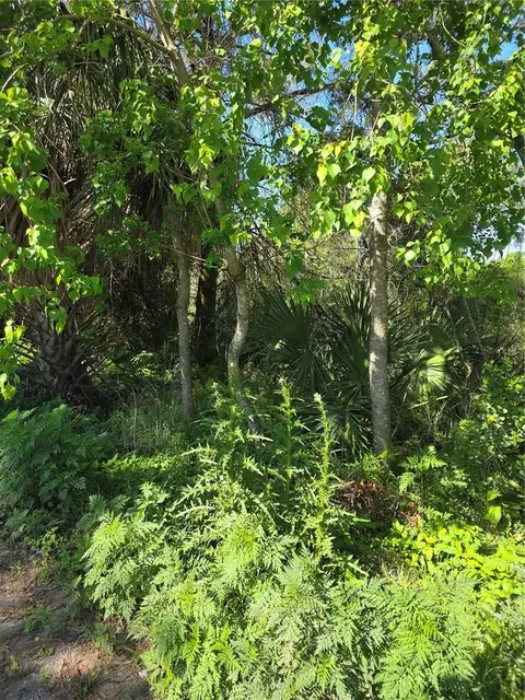 226 Walnut Ave, Orange City, FL 32763