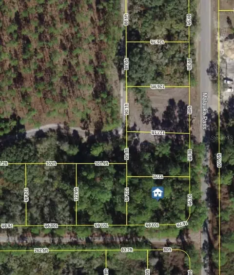 Nnn Malauka Pass Pass, Ocklawaha, FL 32179