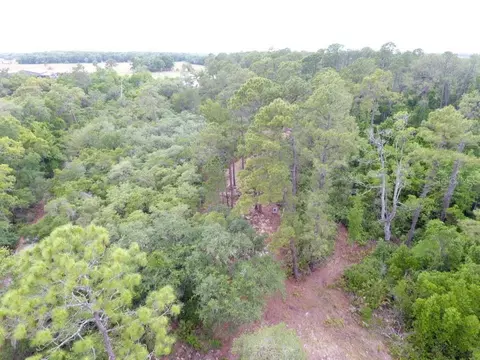 155 Snake Hill Rd, Pomona Park, FL 32181