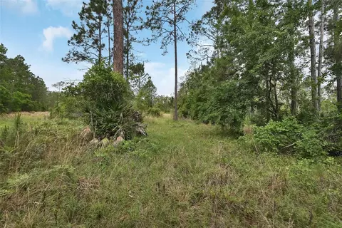 0 W Sr 40 Hwy, Ormond Beach, FL 32174 photo 10