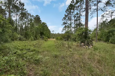 0 W Sr 40 Hwy, Ormond Beach, FL 32174 photo 9