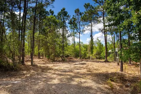3770 Balsam Ct, Ormond Beach, FL 32174 photo 3