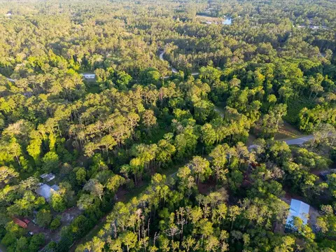 172 Whispering Pines Rd, Georgetown, FL 32139 photo 9