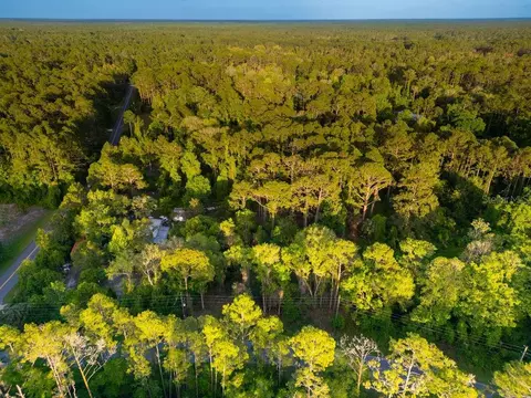 172 Whispering Pines Rd, Georgetown, FL 32139 photo 12