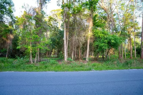 172 Whispering Pines Rd, Georgetown, FL 32139 photo 3