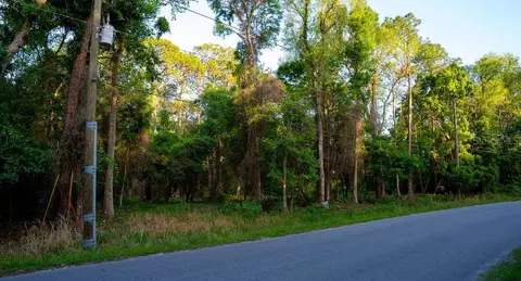 172 Whispering Pines Rd, Georgetown, FL 32139 photo 5