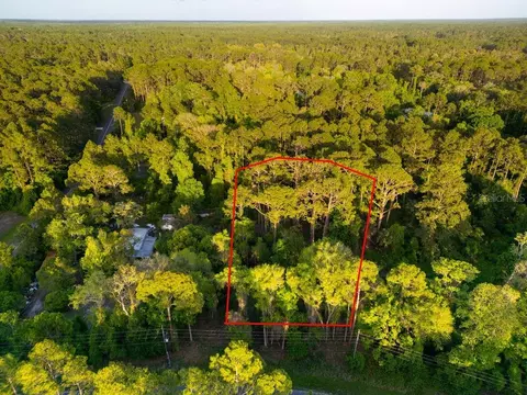 172 Whispering Pines Rd, Georgetown, FL 32139 photo 6