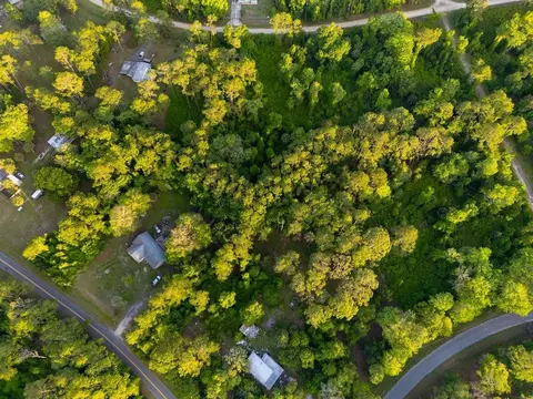 172 Whispering Pines Rd, Georgetown, FL 32139 photo 2
