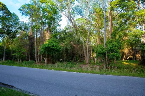172 Whispering Pines Rd, Georgetown, FL 32139 photo 4