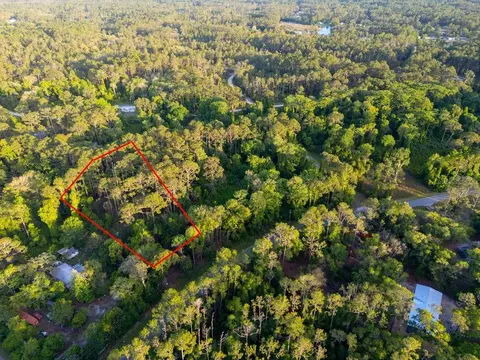 172 Whispering Pines Rd, Georgetown, FL 32139 photo 8