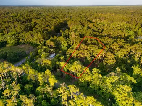 172 Whispering Pines Rd, Georgetown, FL 32139 photo 10