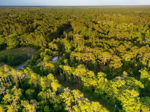 172 Whispering Pines Rd, Georgetown, FL 32139 photo 11