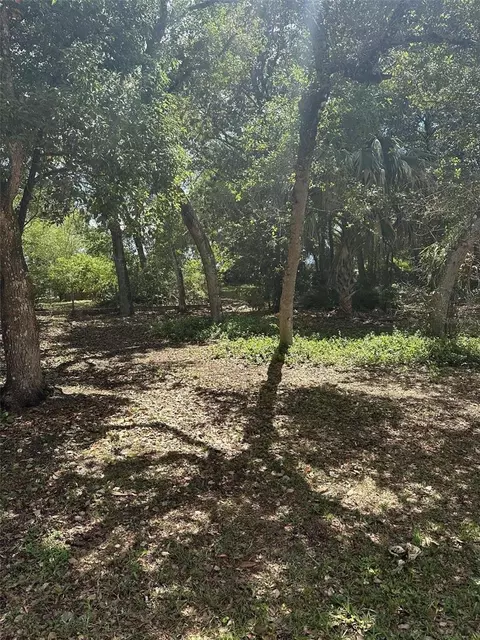Elm Drive, Orange City, FL 32763