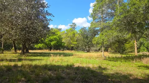 2140 St Johns River Rd, Astor, FL 32102