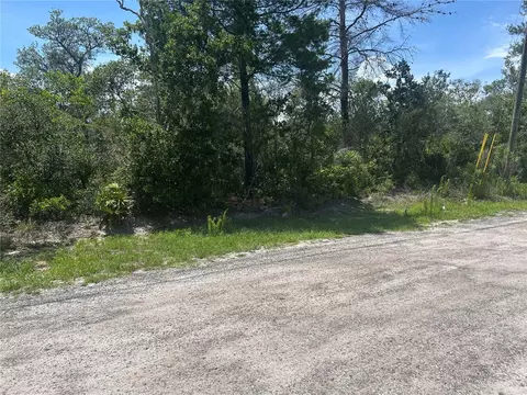 Waldor Avenue, Orange City, FL 32763