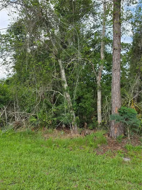 3227 Urmey Ave, Deltona, FL 32738