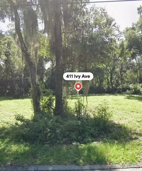 411 Ivy Ave, Deland, FL 32724