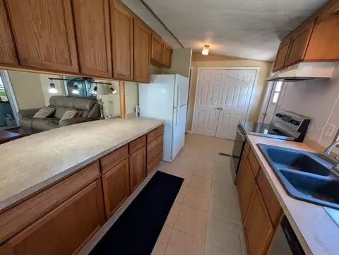 154 Moonlite Dr, Welaka, FL 32193 photo 15